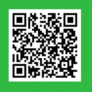 WhatsApp Kanal Buchholz